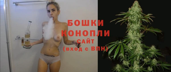 ГАЛЛЮЦИНОГЕННЫЕ ГРИБЫ Арсеньев