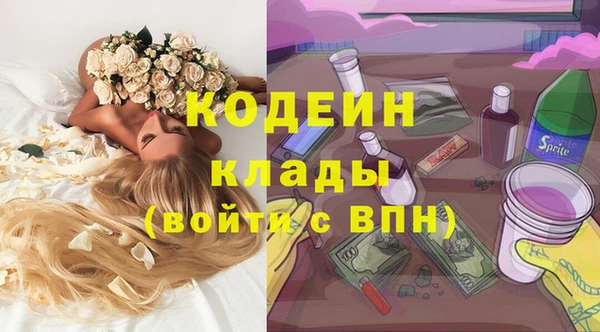 ГАЛЛЮЦИНОГЕННЫЕ ГРИБЫ Арсеньев