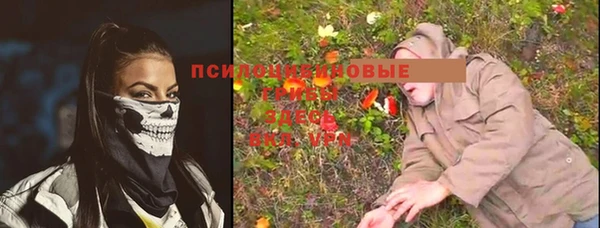 ГАЛЛЮЦИНОГЕННЫЕ ГРИБЫ Арсеньев